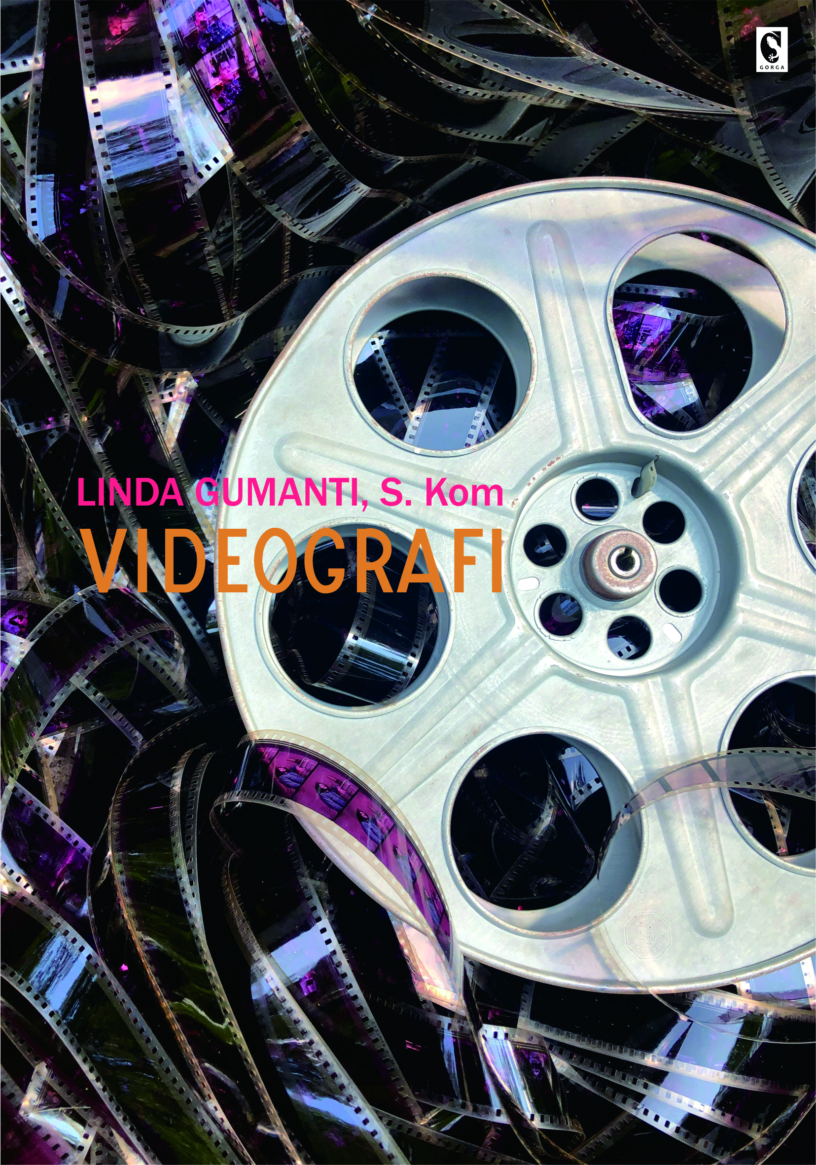 Videografi